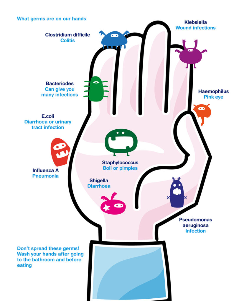 What germs are on your hands graphic